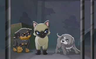 Puppy In My Pocket - Adventures In Pocketville S01E52 Together Forever Part 2