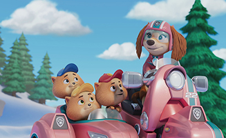 Paw Patrol S11E14 AJr Patrollers Christmas