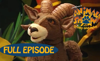 Bighorn Sheep - Red Deer