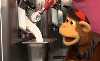 More Ice Cream Please