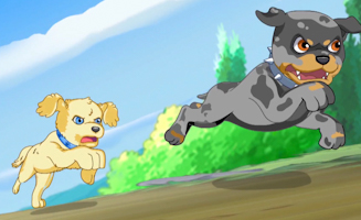 Puppy In My Pocket - Adventures In Pocketville S01E04 Going Home