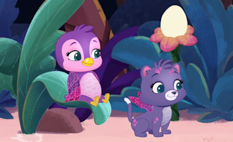 Hatchimals - Adventures In Hatchtopia S01E14 Starry Sleep Over