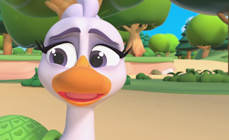 Patortuga Se Encamina Al Desastre