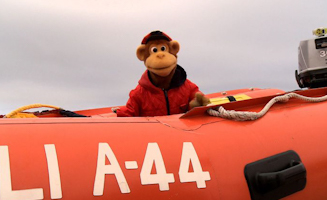 Monkey To The Rescue