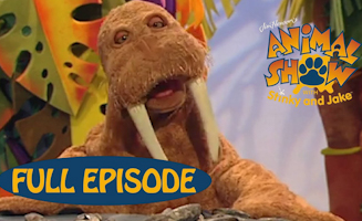 Walrus - Warthog