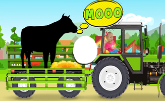 Animals In The Truck