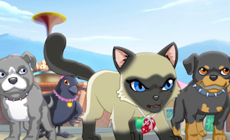 Puppy In My Pocket - Adventures In Pocketville S01E15 Believe In Yourself Part 1