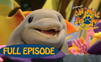 Dolphin