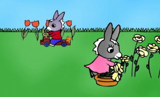 Trotro Und Die Schildkrote