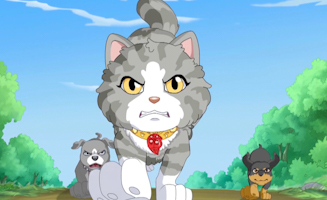 Puppy In My Pocket - Adventures In Pocketville S01E12 New Friends Part 2