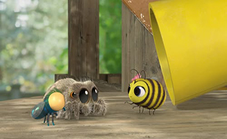 Lucas the Spider S01E23 Jumping Pa - Trouble at the Top - Avocados Fan