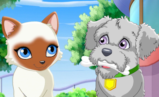 Puppy In My Pocket - Adventures In Pocketville S01E27 Kates Birthday Part 1