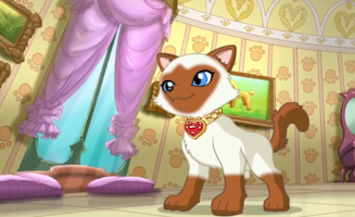 Puppy In My Pocket - Adventures In Pocketville S01E41 Operation Princess Part 1