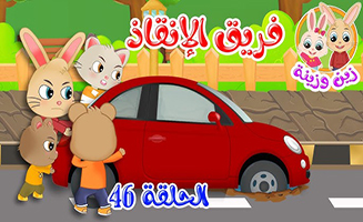 The Rescue Team Story