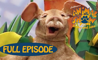 Aardvark - Chameleon