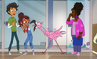 Haileys on It S01E06B The Flamingo Must Flamin-Go