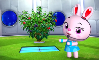 Tournons Autour Du Mûrier