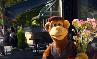 Birthday Train Journey