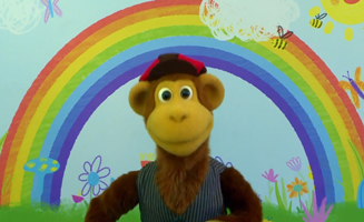 Pet-Tacular Facts-Tortoise