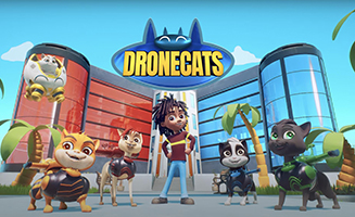 Dronecats S01E26 Drone Cats for a day