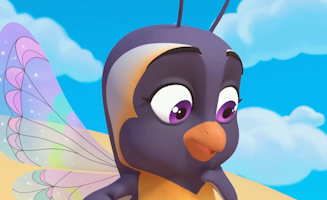 Course Dodd-De-Pattes