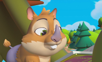 Blind Hamster Gets Eye Test At Clinic