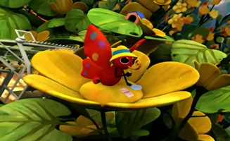 Le Bel Inconnu Volant