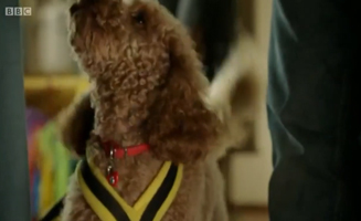 Waffle The Wonder Dog S01E57 Waffle Steals The Show