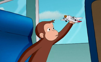 Schwimmen Mit Den Delfinen