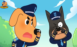 Dont Follow Unfamiliar Pets