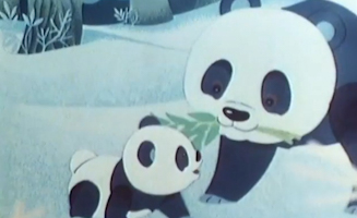 El Rey De Los Cocodrilos