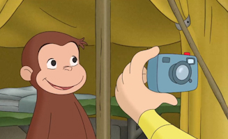 Tierische Abenteuer In Australien