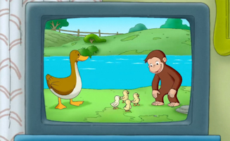 Eine Ungewohnliche Entenmama