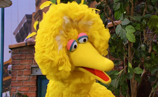 Sesame Street S55E30 Big Birds Big Solo