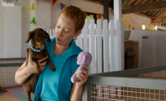 Waffle The Wonder Dog S01E32 Waffle At The Kennels