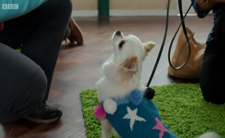 Waffle The Wonder Dog S01E08 Training Waffle