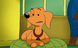 Sich Um Die Hunde Kummern