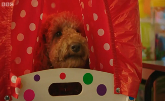 Waffle The Wonder Dog S01E47 Waffle Tries To Be Still