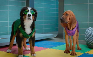 Super Pupz S01E09 Saving Zeta