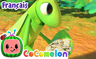 La Cigale Et La Fourmi