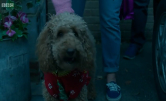 Waffle The Wonder Dog S01E31 Waffles First Christmas