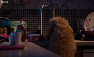 Waffle The Wonder Dog S01E33 Waffle The Guest