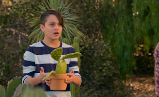 Surfside Girls S01E08 And Sams Story