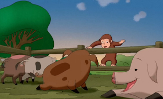 Cocos Saftexperiment