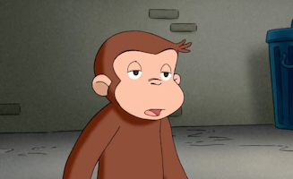 Krach Im Huhnerstall