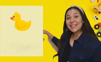 Numbers And Colors For Kids In Arabic