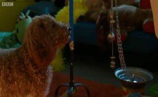 Waffle The Wonder Dog S01E44 Waffle Pop Dog