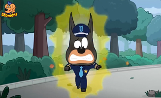 Stay Safe From Fallen Power Lines