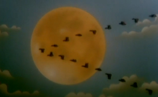 La Gran Emigracion De Los Pajaros