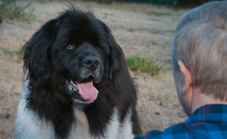 Super Pupz S01E04 Plan Z The Trap